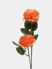 Коралловый ранункулюс искусственный, цветы искусственные, розы, пионы, ритуальные, растения