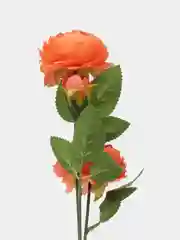 Коралловый ранункулюс искусственный, цветы искусственные, розы, пионы, ритуальные, растения