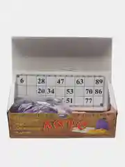 Русское лото "Любимое", 24 карточки, пластиковые фишки