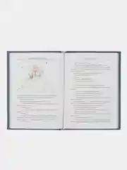 Маленький принц. Антуан де Сент-Экзюпери. книга в коже