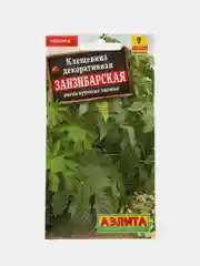 Клещевина Занзибарская, семена, цветы