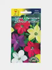 Табак Дивный аромат (цветы, семена)
