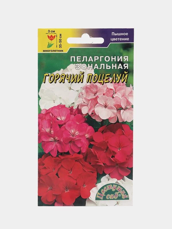 Пеларгония "Горячий поцелуй", семена, цветы
