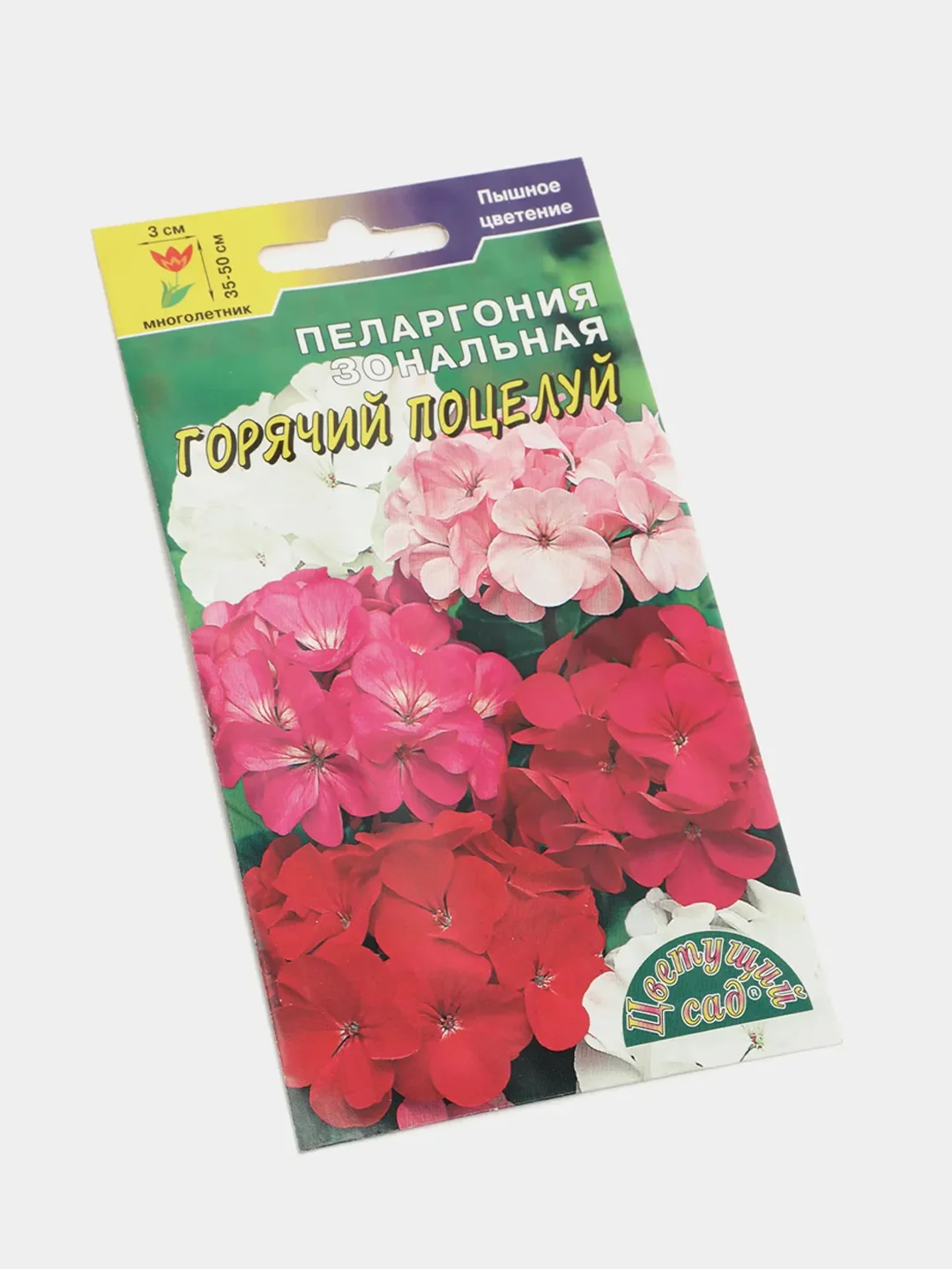 Пеларгония "Горячий поцелуй", семена, цветы