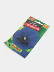 Виола "Ультрамарин" (семена, цветы)