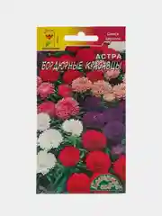 Астра Бордюрные красавцы (семена,цветы)