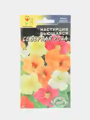Настурция "Северная роза" (семена, цветы)