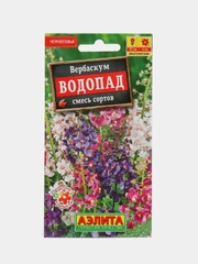 Семена цветы "Вербаскум Водопад"