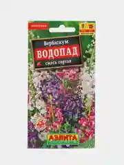 Семена цветы "Вербаскум Водопад"