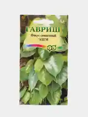 Семена цветы "Фикус Эдем"
