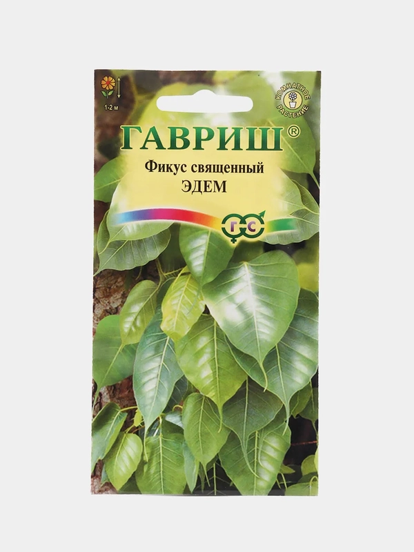 Семена цветы "Фикус Эдем"