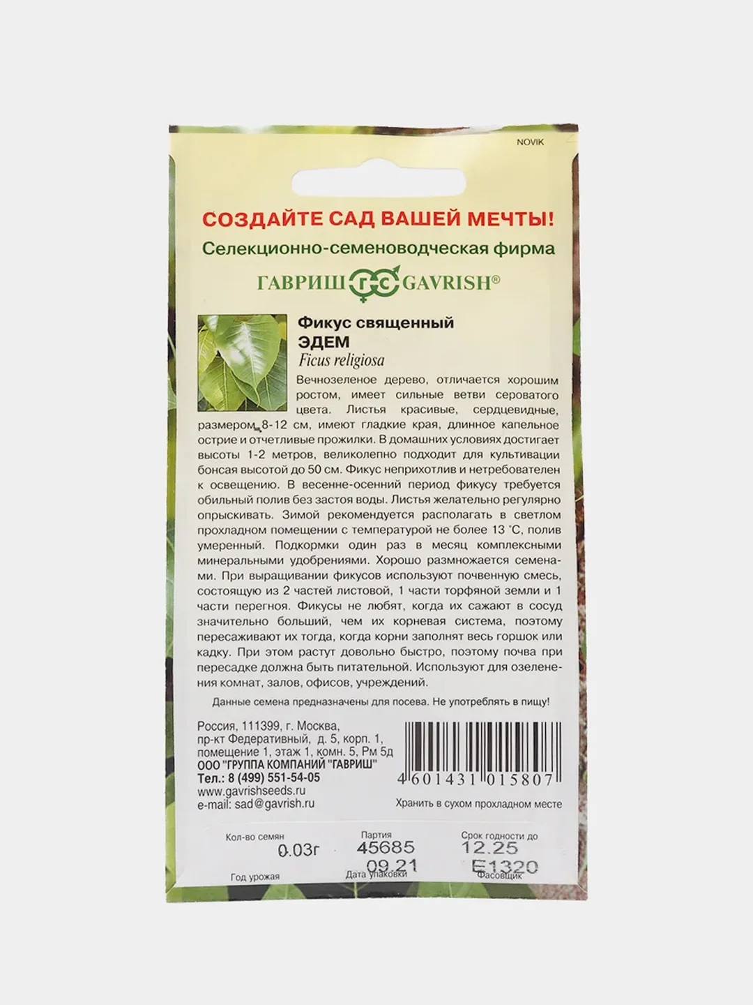 Семена цветы "Фикус Эдем"