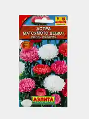 Семена Астра "Матсумото Дебют"