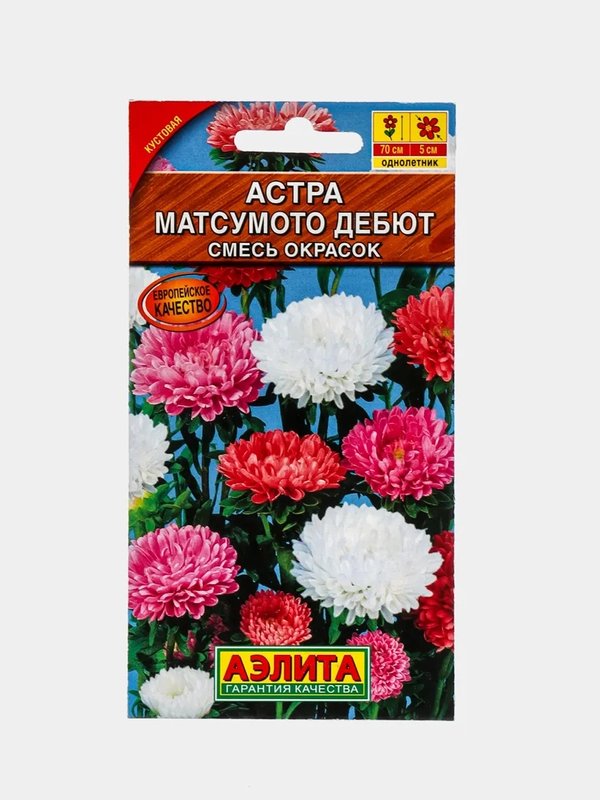 Семена Астра "Матсумото Дебют"