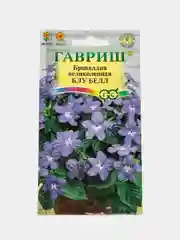 Семена цветы "Броваллия Блу белл"