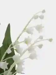 Белый ландыш, искусственные цветы