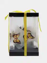 Желтый коробка с бумажными бабочками и подсветкой