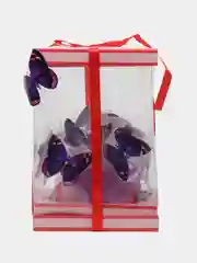 Фиолетовый коробка с бумажными бабочками и подсветкой