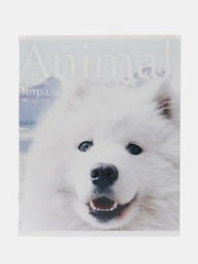 Тетрадь А5, 96 листов, на скрепке, Animal