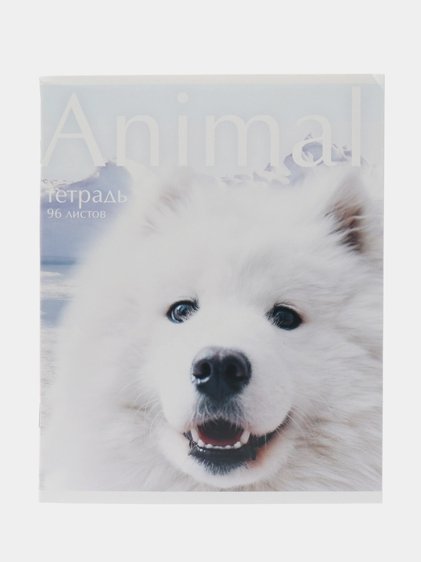 Тетрадь А5, 96 листов, на скрепке, Animal