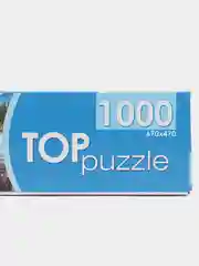 Терракотовый пазлы 1000 элементов, разные сюжеты