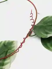 Лайм искусственные цветы, лиана