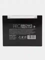 Тени для бровей DoDo Girl Pro Brows