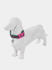 Ошейник для собак DOOG "NEON RIN TIN TIN", чёрно-розовый, M, 32-46см