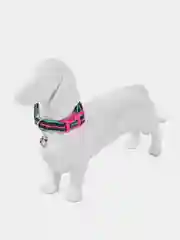 Ошейник для собак DOOG "NEON RIN TIN TIN", чёрно-розовый, M, 32-46см