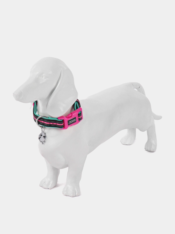 Ошейник для собак DOOG "NEON RIN TIN TIN", чёрно-розовый, M, 32-46см