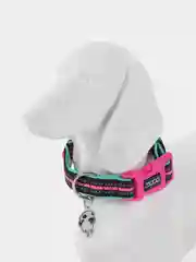 Ошейник для собак DOOG "NEON RIN TIN TIN", чёрно-розовый, M, 32-46см