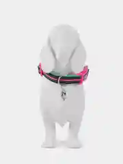 Ошейник для собак DOOG "NEON RIN TIN TIN", чёрно-розовый, M, 32-46см