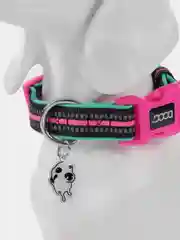 Ошейник для собак DOOG "NEON RIN TIN TIN", чёрно-розовый, M, 32-46см