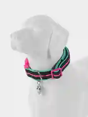 Ошейник для собак DOOG "NEON RIN TIN TIN", чёрно-розовый, L, 42-62см