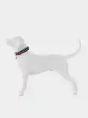 Ошейник для собак DOOG "NEON RIN TIN TIN", чёрно-розовый, L, 42-62см