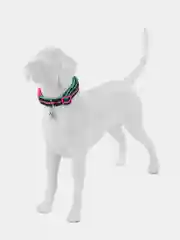 Ошейник для собак DOOG "NEON RIN TIN TIN", чёрно-розовый, L, 42-62см