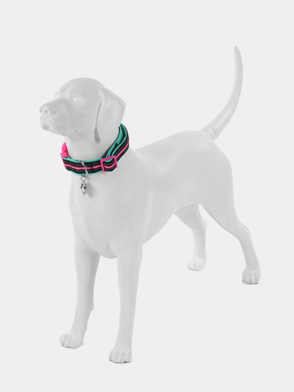 Ошейник для собак DOOG "NEON RIN TIN TIN", чёрно-розовый, L, 42-62см