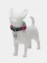 Ошейник для собак DOOG "NEON RIN TIN TIN", чёрно-розовый, S, 23-34см