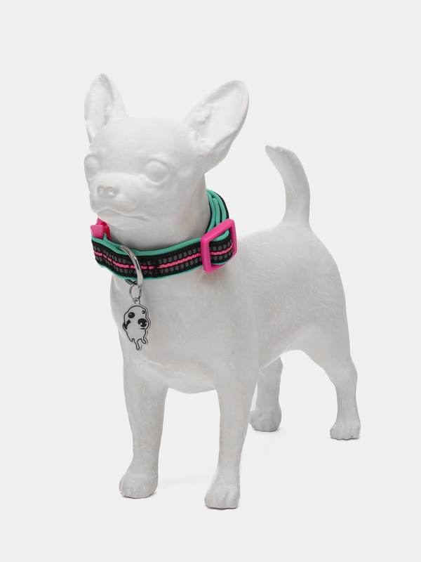 Ошейник для собак DOOG "NEON RIN TIN TIN", чёрно-розовый, S, 23-34см