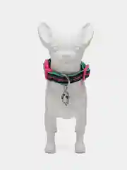 Ошейник для собак DOOG "NEON RIN TIN TIN", чёрно-розовый, S, 23-34см