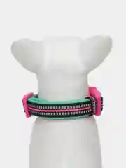 Ошейник для собак DOOG "NEON RIN TIN TIN", чёрно-розовый, S, 23-34см