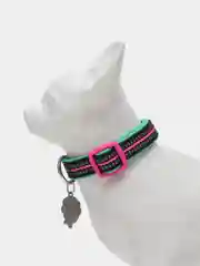 Ошейник для собак DOOG "NEON RIN TIN TIN", чёрно-розовый, S, 23-34см