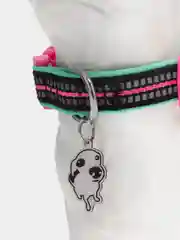 Ошейник для собак DOOG "NEON RIN TIN TIN", чёрно-розовый, S, 23-34см