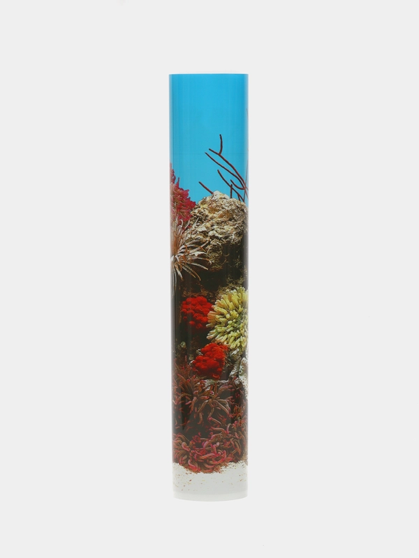 Фон для аквариумов EBI "Stone & Coral", 60х30см
