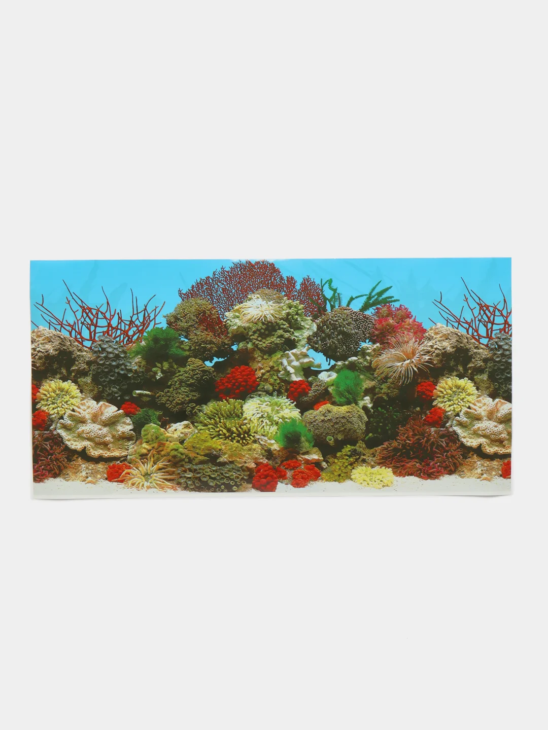 Фон для аквариумов EBI "Stone & Coral", 60х30см