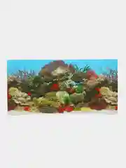 Фон для аквариумов EBI "Stone & Coral", 60х30см