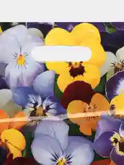 Подарочный пакет пакетик подарочный