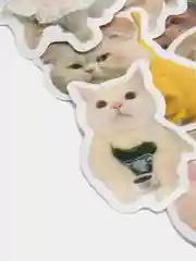 Молочный стикеры "Котики", "Кот-акула", 100 штук, мемы, собаки