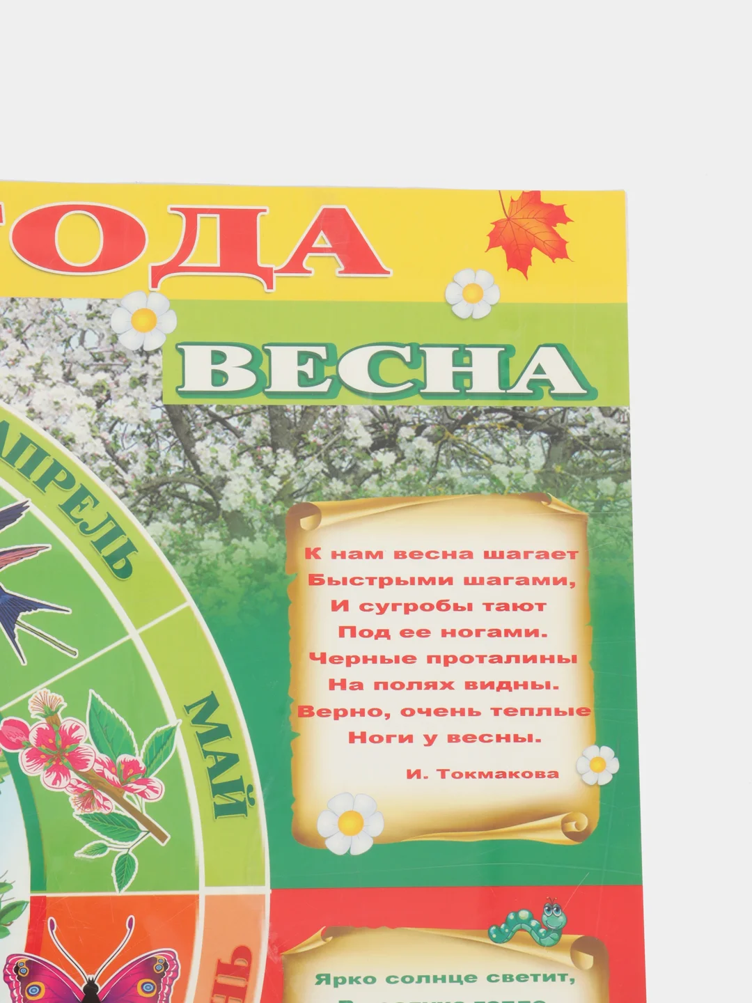 Желтый плакат Время и времена года, Изучаем время, Наглядное пособие для детей, детский сад