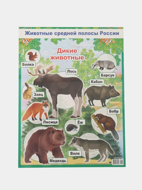 Плакат Дикие животные. Домашние животные. Птицы перелетные, зимущие. России. Насекомые
